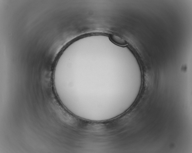 X0000112501260200909071236