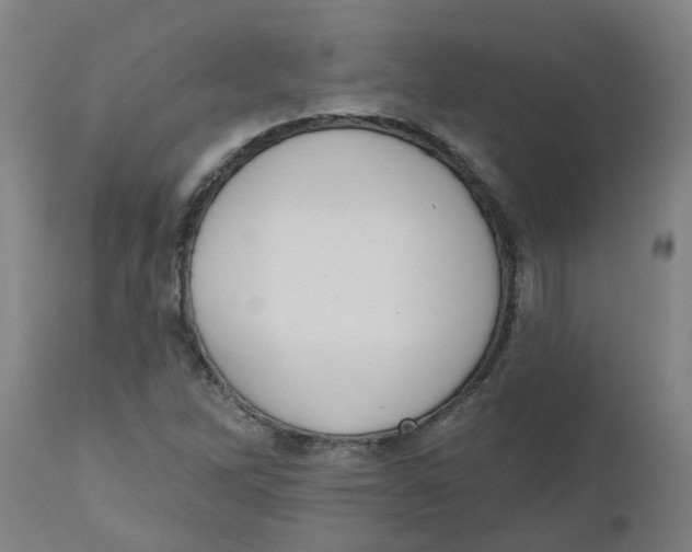 X0000112501262200909071236