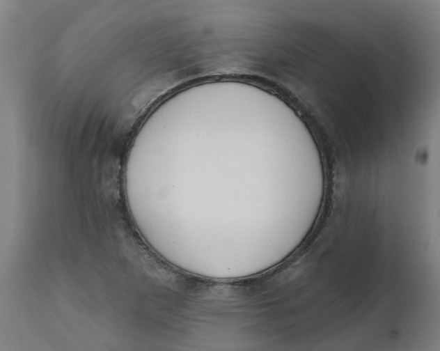 X0000112501265200909071236