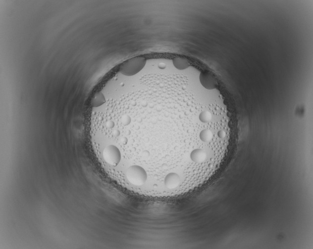 X0000112501266200909071236