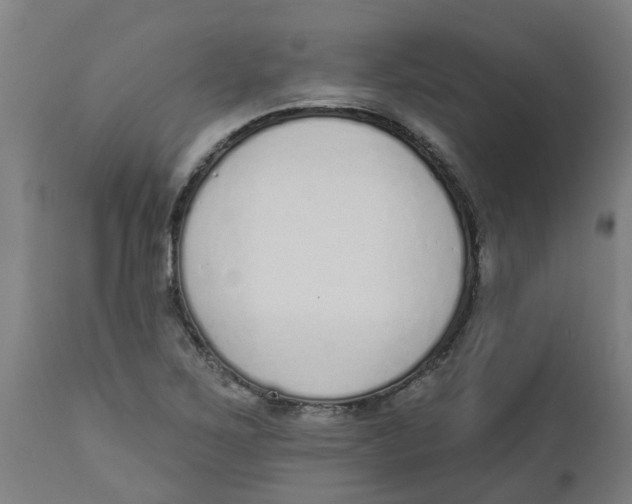 X0000112501267200909071236