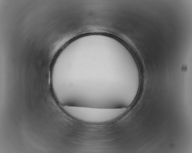 X0000112501269200909071236