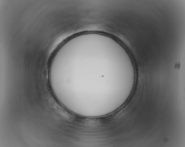 X0000112501270200909071236