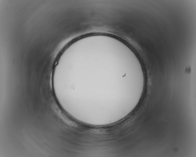 X0000112501272200909071236