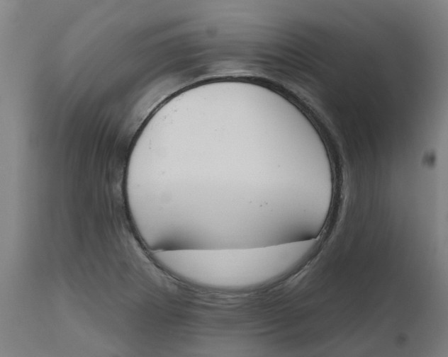 X0000112501273200909071236