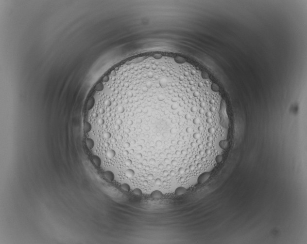 X0000112501274200909071236