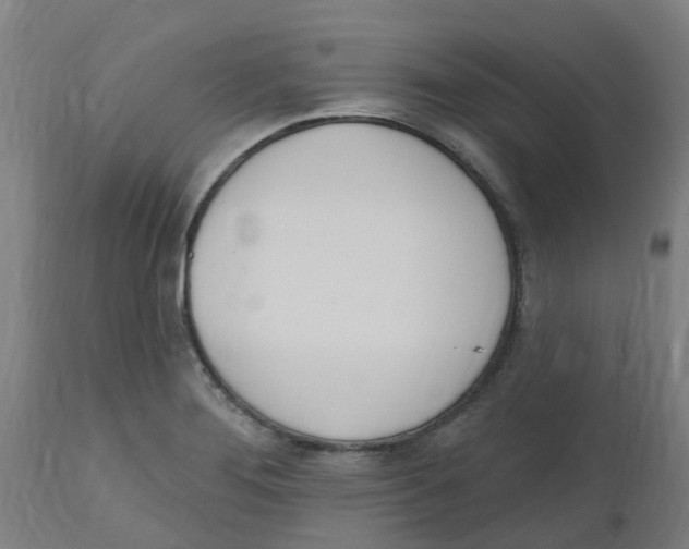 X0000112501276200909071236