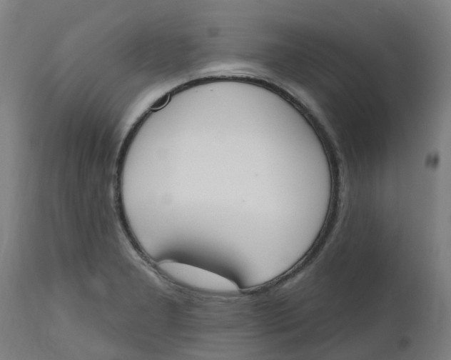 X0000112501277200909071236