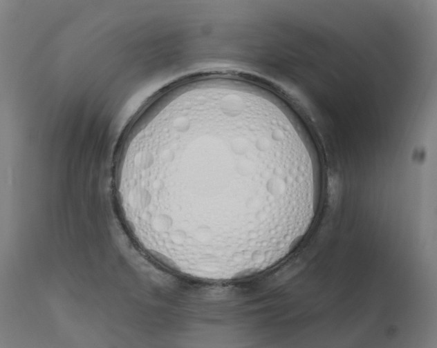 X0000112501279200909071236