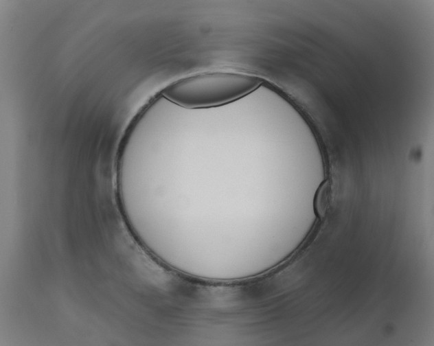 X0000112501280200909071236