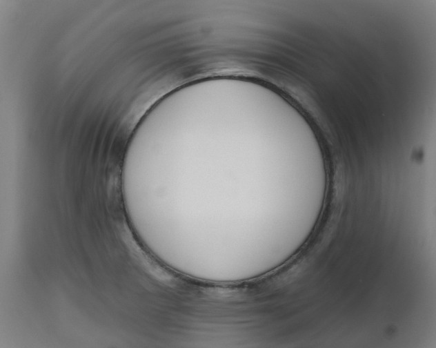 X0000112501281200909071236