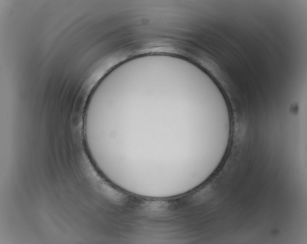 X0000112501282200909071236