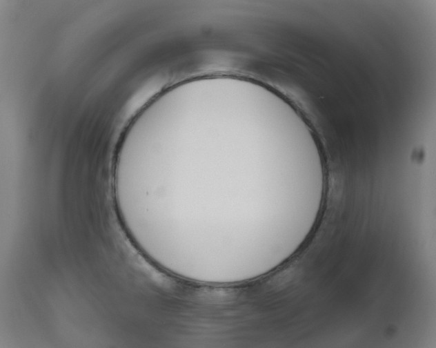 X0000112501286200909071236