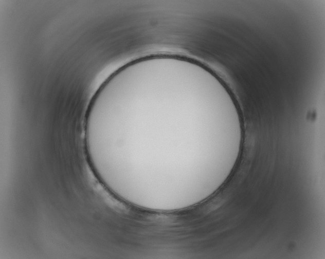 X0000112501287200909071236