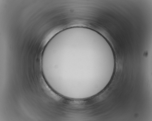 X0000112501290200909071236