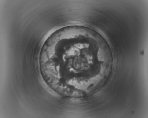 X0000112501291200909071236