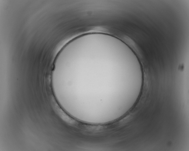 X0000112501292200909071236