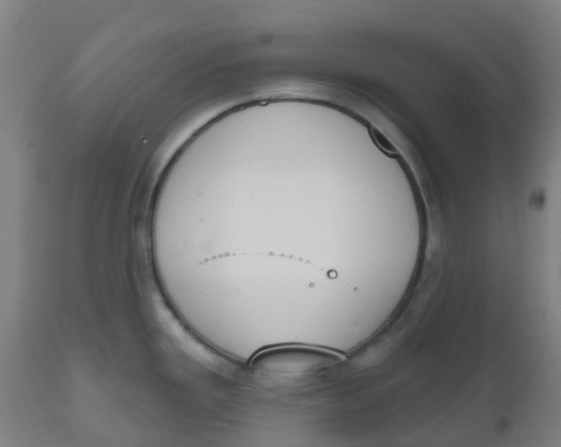 X0000112501293200909071236