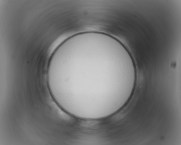 X0000112501294200909071236