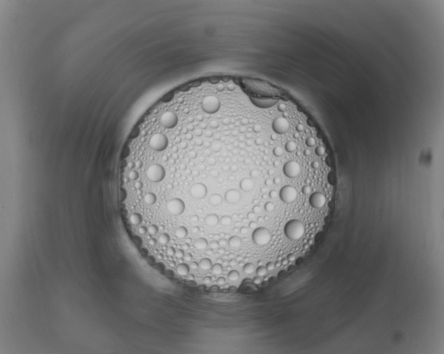 X0000112501295200909071236