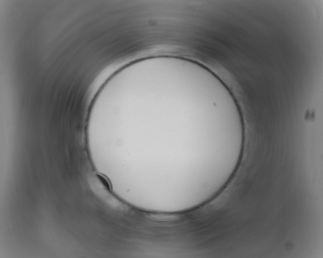 X0000112501296200909071236