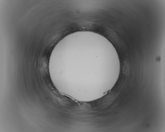 X0000112501298200909071235