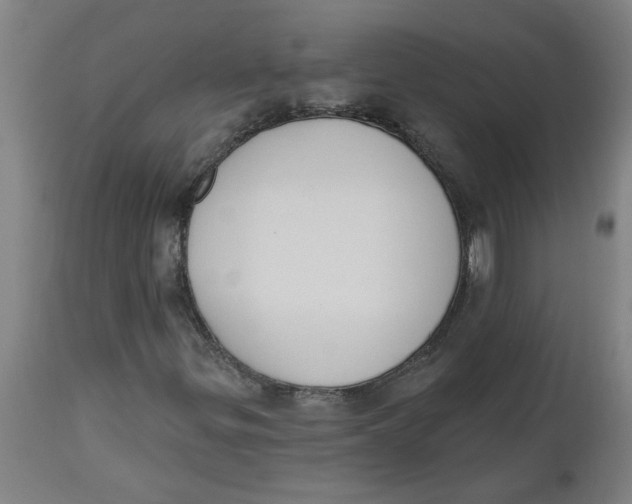 X0000112501299200909071235