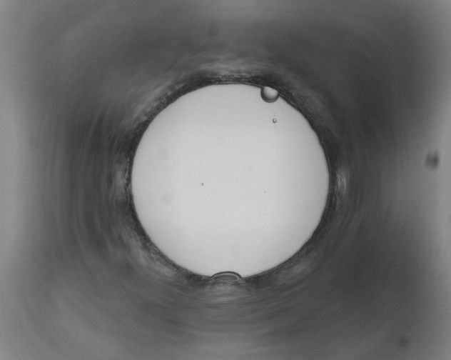 X0000112501300200909071235