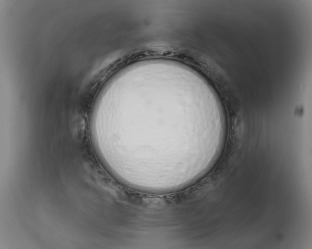 X0000112501302200909071235