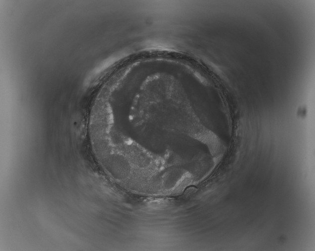 X0000112501303200909071235