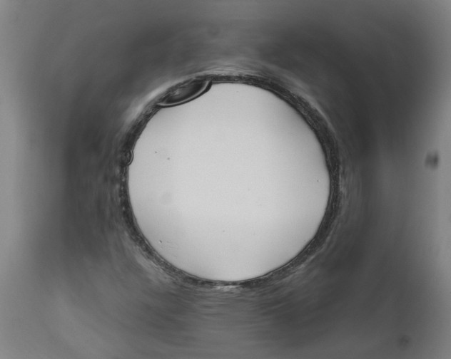 X0000112501304200909071235