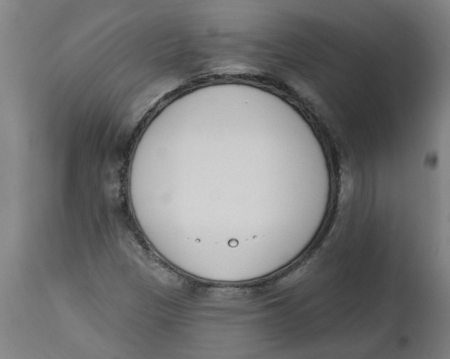 X0000112501305200909071235