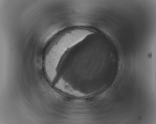 X0000112501306200909071235