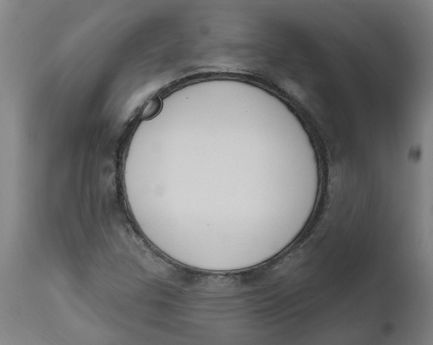 X0000112501307200909071235