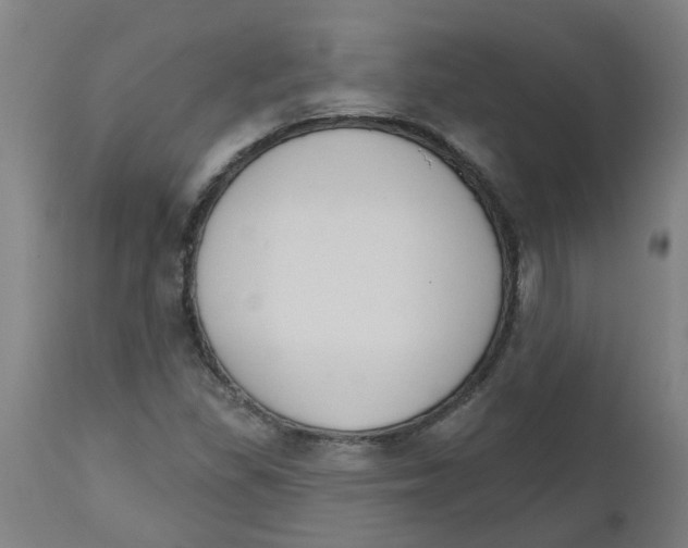 X0000112501309200909071235