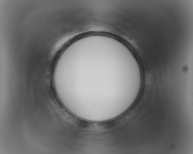 X0000112501311200909071235