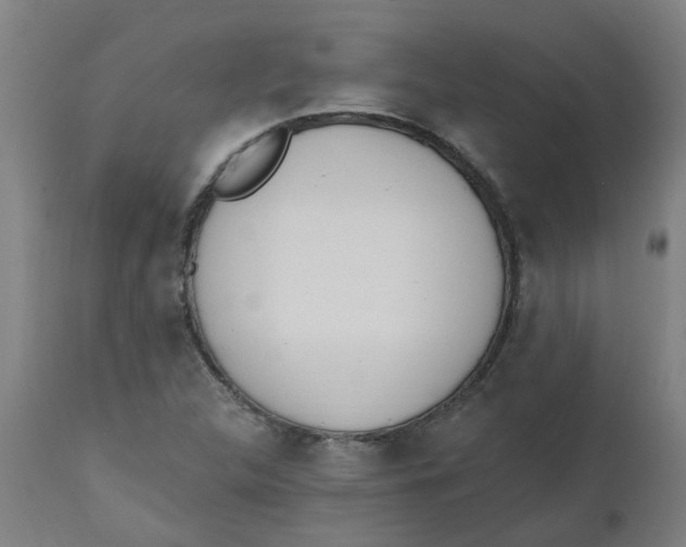 X0000112501312200909071235