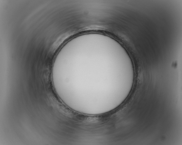 X0000112501313200909071235