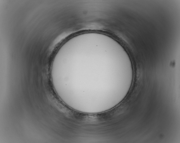 X0000112501315200909071235