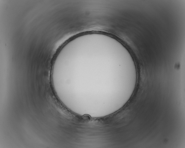 X0000112501316200909071235