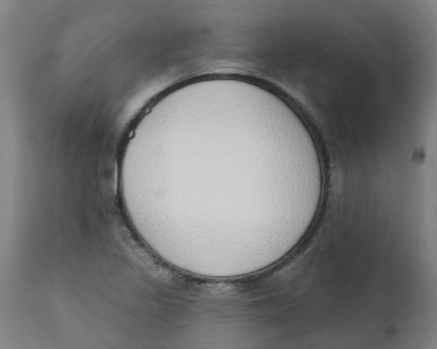 X0000112501317200909071235