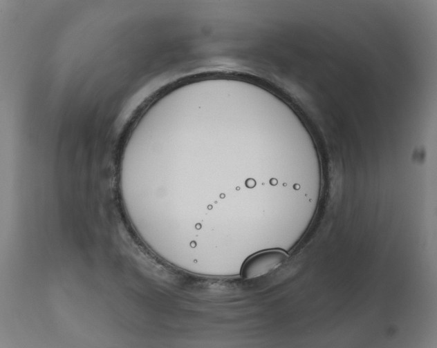 X0000112501318200909071235