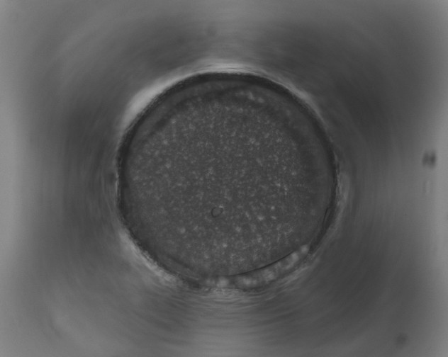 X0000112501319200909071235