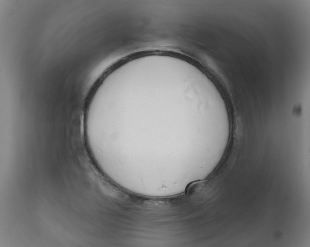 X0000112501320200909071235