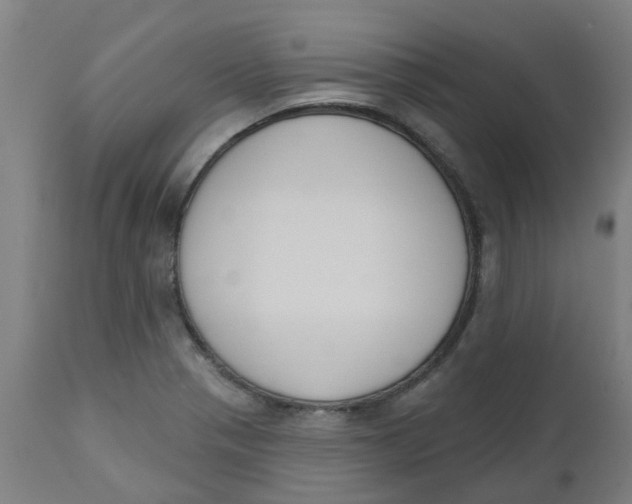 X0000112501321200909071235