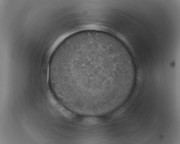 X0000112501323200909071236