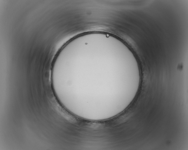 X0000112501324200909071236