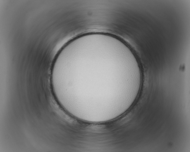 X0000112501325200909071236