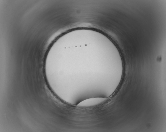 X0000112501326200909071236