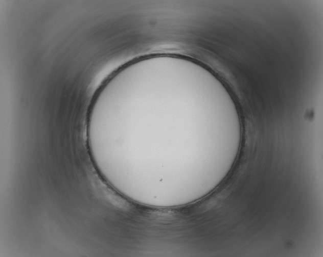 X0000112501328200909071236